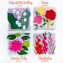 Birth Flower Magnet Bundle - 12 Months