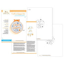 Craft a Happy Life embroidery pattern - PDF