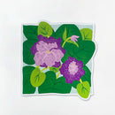 February Violet magnet