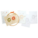 Lion embroidery kit for beginners