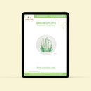 Snowdrops - PDF pattern